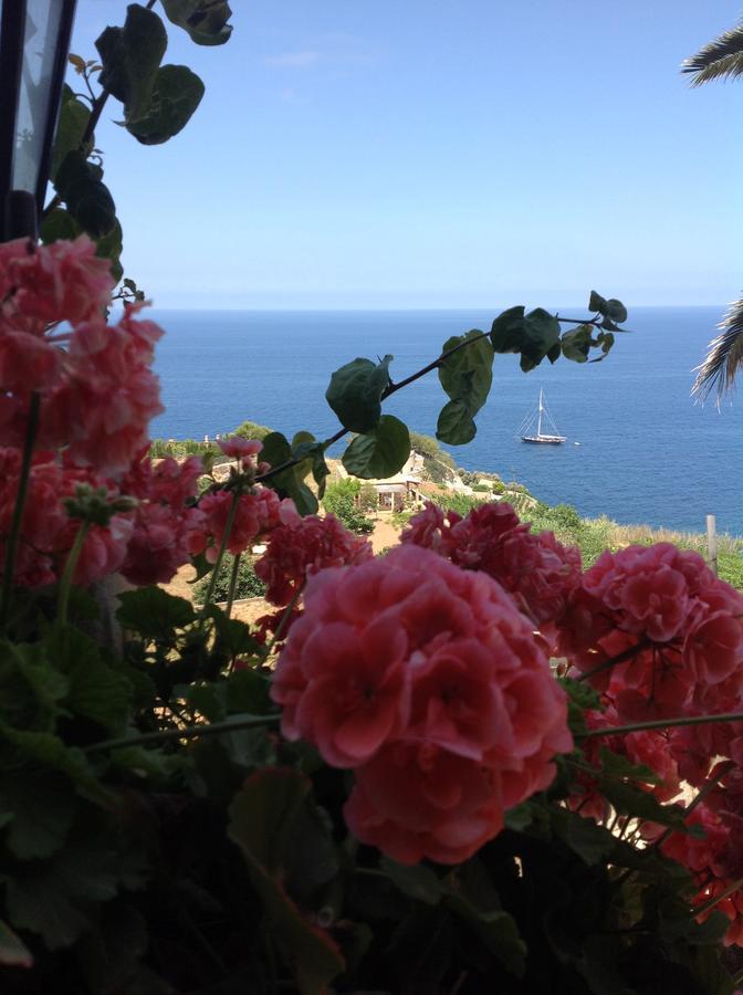 Mar I Vent Hotell Banyalbufar Exteriör bild